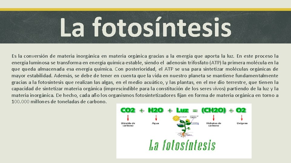 La fotosíntesis Es la conversión de materia inorgánica en materia orgánica gracias a la