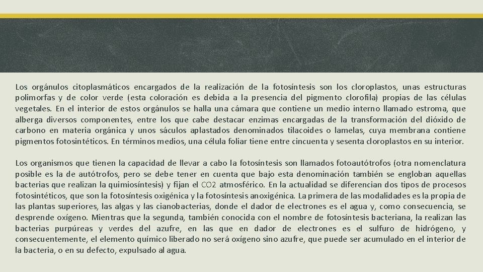 Los orgánulos citoplasmáticos encargados de la realización de la fotosíntesis son los cloroplastos, unas