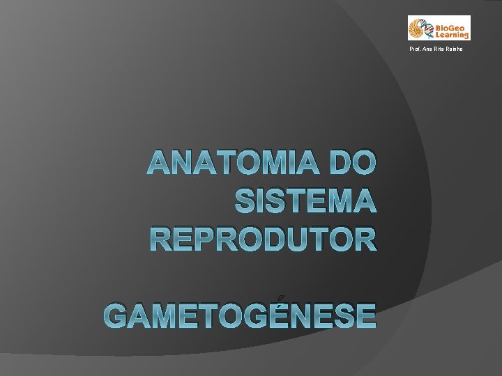 Prof. Ana Rita Rainho ANATOMIA DO SISTEMA REPRODUTOR GAMETOGÉNESE 