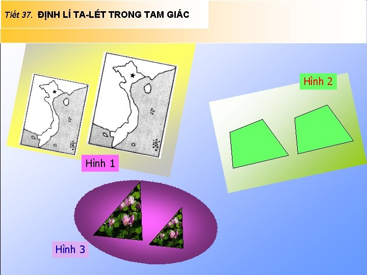 Tiết 37. ĐỊNH LÍ TA-LÉT TRONG TAM GIÁC Hình 2 Hình 1 Hình 3