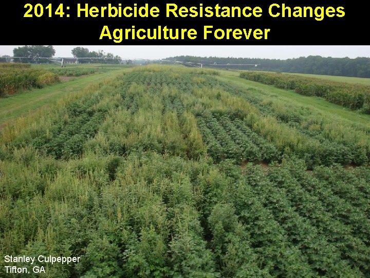 2014: Herbicide Resistance Changes Agriculture Forever Stanley Culpepper Tifton, GA 