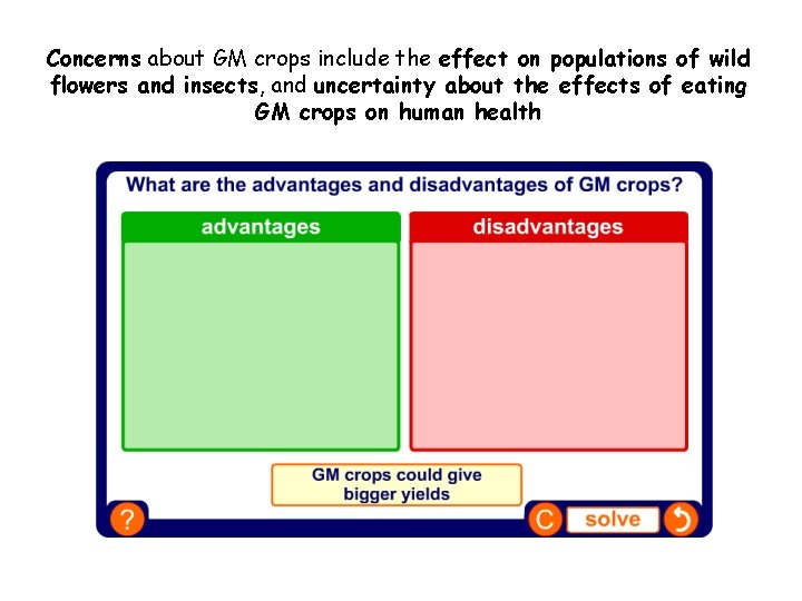 Concerns about GM crops include the effect on populations of wild flowers and insects,