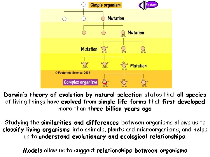 Darwin’s theory of evolution by natural selection states that all species of living things