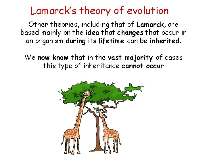 Lamarck’s theory of evolution Other theories, including that of Lamarck, are based mainly on