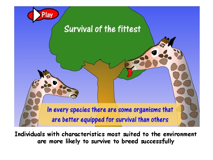 Individuals with characteristics most suited to the environment are more likely to survive to