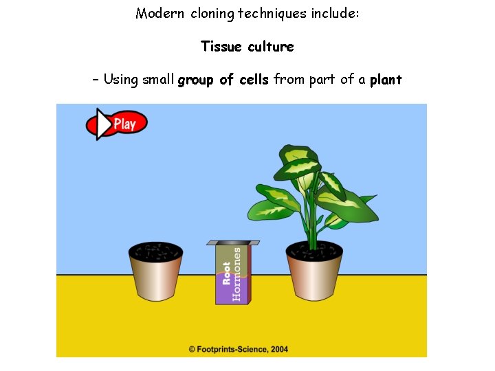Modern cloning techniques include: Tissue culture – Using small group of cells from part
