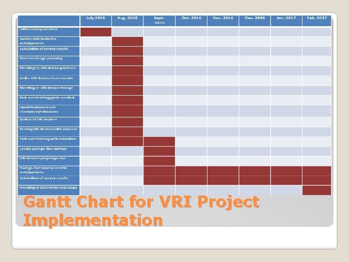 Gantt Chart for VRI Project Implementation 