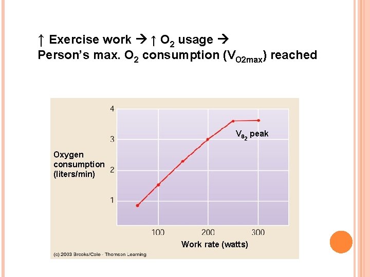 ↑ Exercise work ↑ O 2 usage Person’s max. O 2 consumption (VO 2