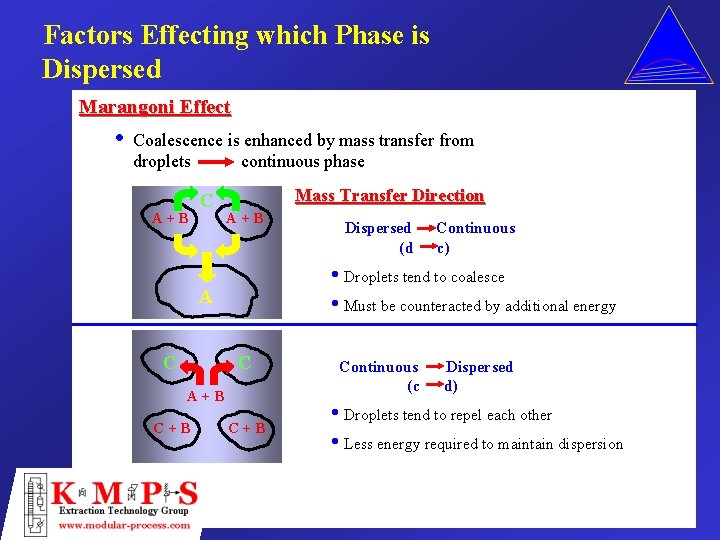 Factors Effecting which Phase is Dispersed Marangoni Effect • Coalescence is enhanced by mass