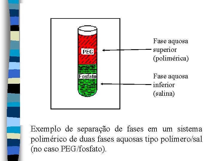 Fase aquosa superior (polimérica) Fase aquosa inferior (salina) Exemplo de separação de fases em