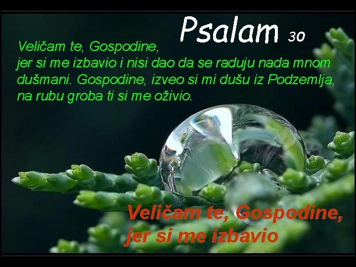 Psalam 30 Veličam te, Gospodine, jer si me izbavio i nisi dao da se