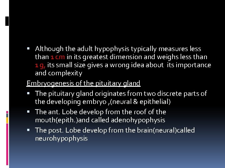  Although the adult hypophysis typically measures less than 1 cm in its greatest