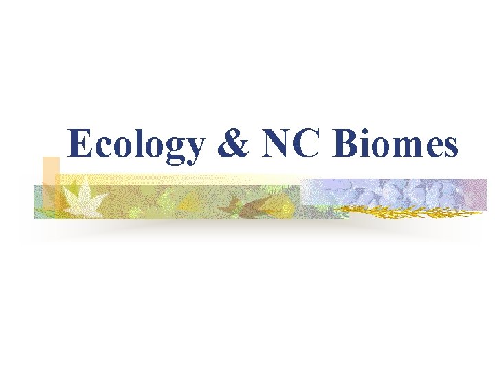 Ecology & NC Biomes 