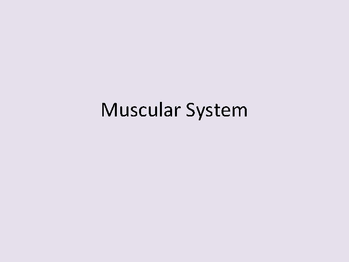 Muscular System 