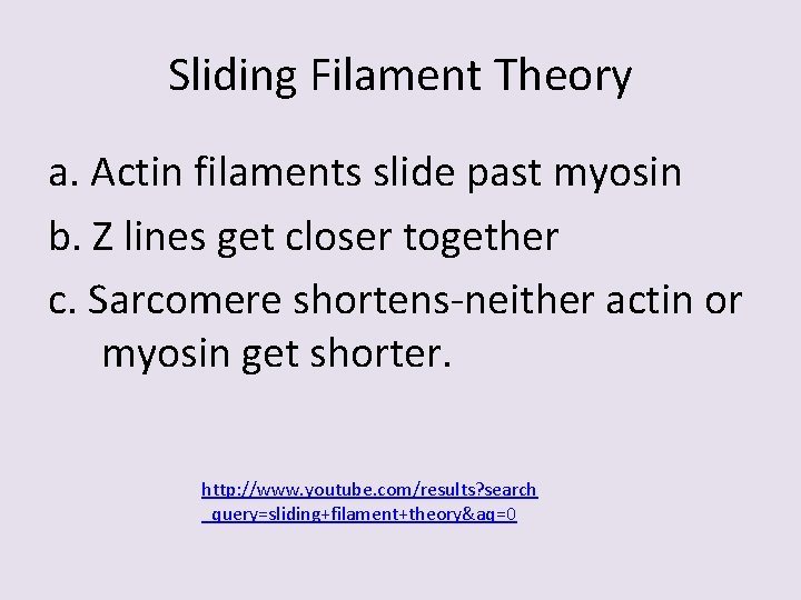 Sliding Filament Theory a. Actin filaments slide past myosin b. Z lines get closer