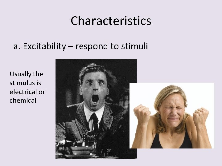 Characteristics a. Excitability – respond to stimuli Usually the stimulus is electrical or chemical