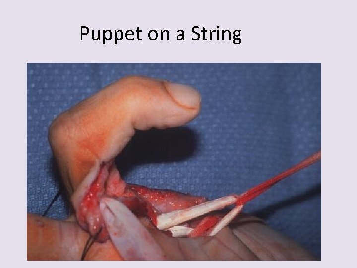 Puppet on a String 