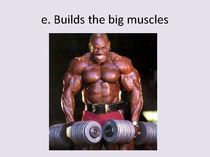 e. Builds the big muscles 