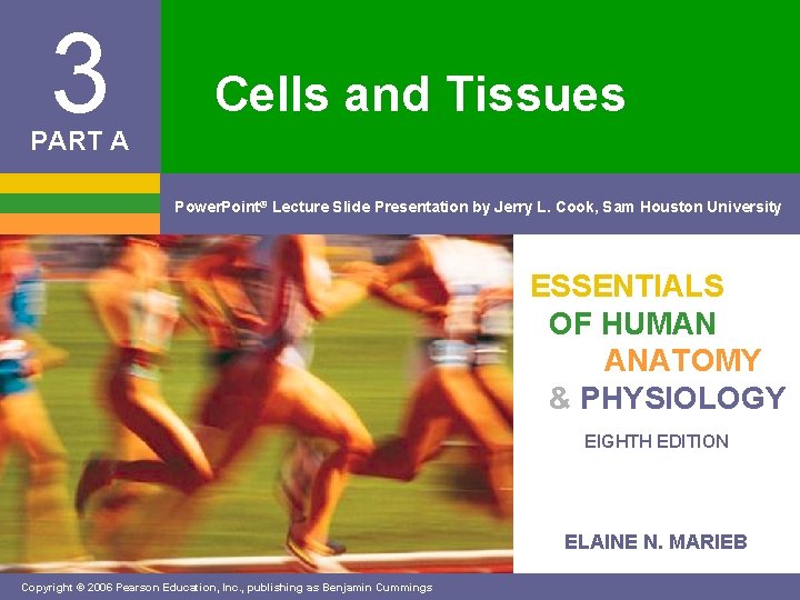 3 Cells and Tissues PART A Power. Point® Lecture Slide Presentation by Jerry L.