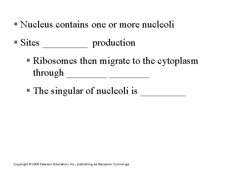 Nucleoli § Nucleus contains one or more nucleoli § Sites _____ production § Ribosomes