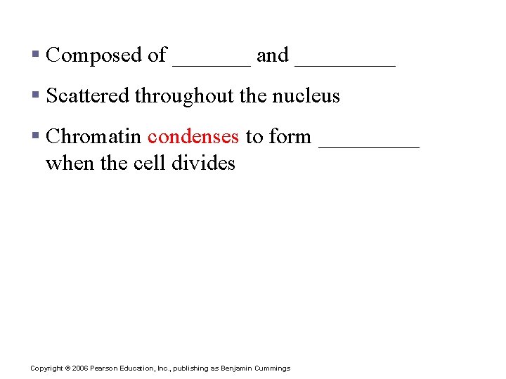 Chromatin § Composed of _______ and _____ § Scattered throughout the nucleus § Chromatin