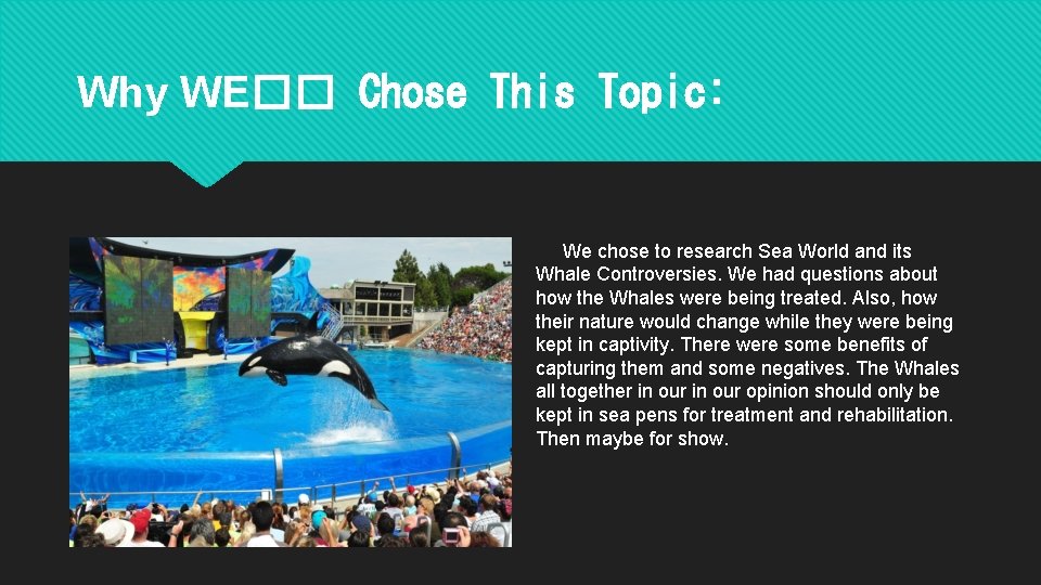 Why WE�� Chose This Topic: We chose to research Sea World and its Whale