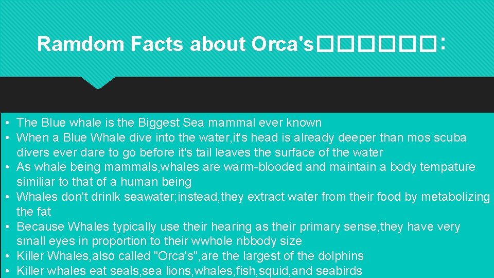 Ramdom Facts about Orca's������: • The Blue whale is the Biggest Sea mammal ever