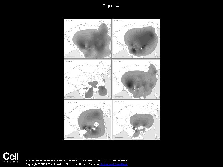Figure 4 The American Journal of Human Genetics 2005 77408 -419 DOI: (10. 1086/444436)