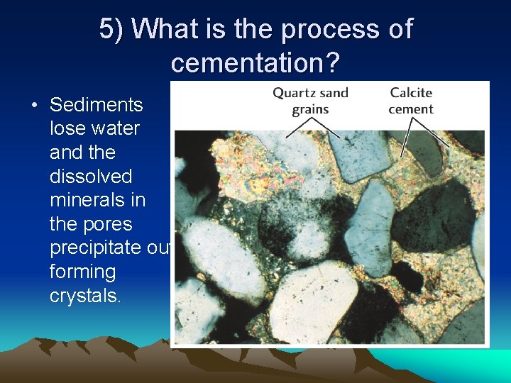 5) What is the process of cementation? • Sediments lose water and the dissolved 5) What is the process of cementation? • Sediments lose water and the dissolved