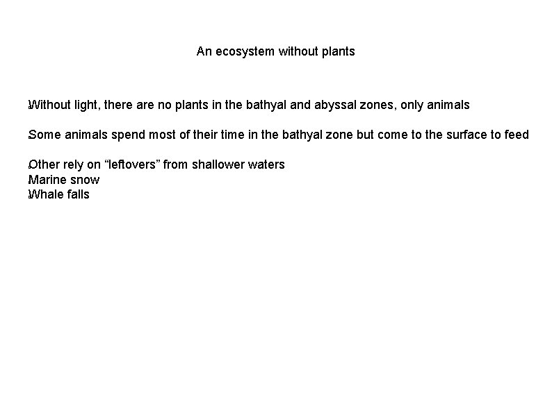 An ecosystem without plants Without light, there are no plants in the bathyal and