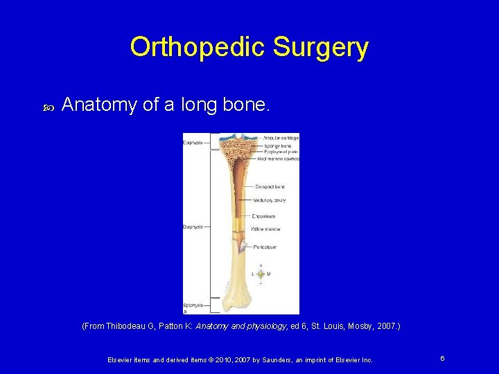 Orthopedic Surgery Anatomy of a long bone. (From Thibodeau G, Patton K: Anatomy and