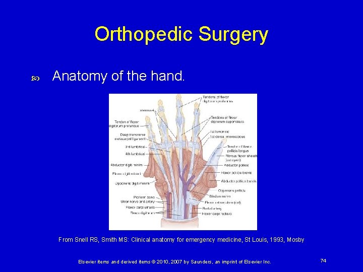 Orthopedic Surgery Anatomy of the hand. From Snell RS, Smith MS: Clinical anatomy for