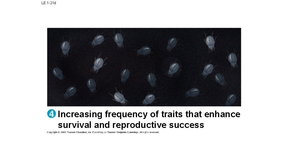 LE 1 -21 d Increasing frequency of traits that enhance survival and reproductive success