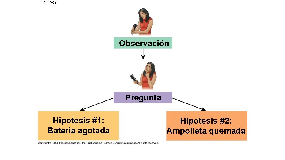 LE 1 -25 a Observación Pregunta Hipotesis #1: Bateria agotada Hipotesis #2: Ampolleta quemada