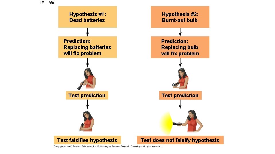 LE 1 -25 b Hypothesis #1: Dead batteries Hypothesis #2: Burnt-out bulb Prediction: Replacing