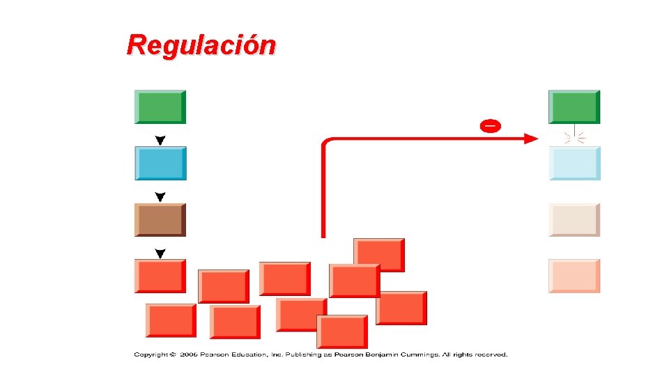 Regulación 