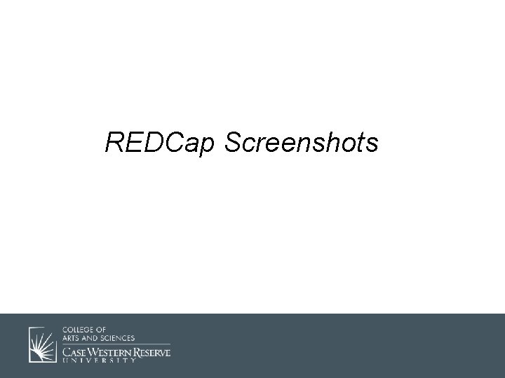 REDCap Screenshots 