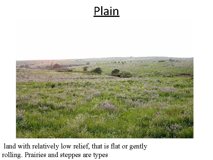 Plain land with relatively low relief, that is flat or gently rolling. Prairies and