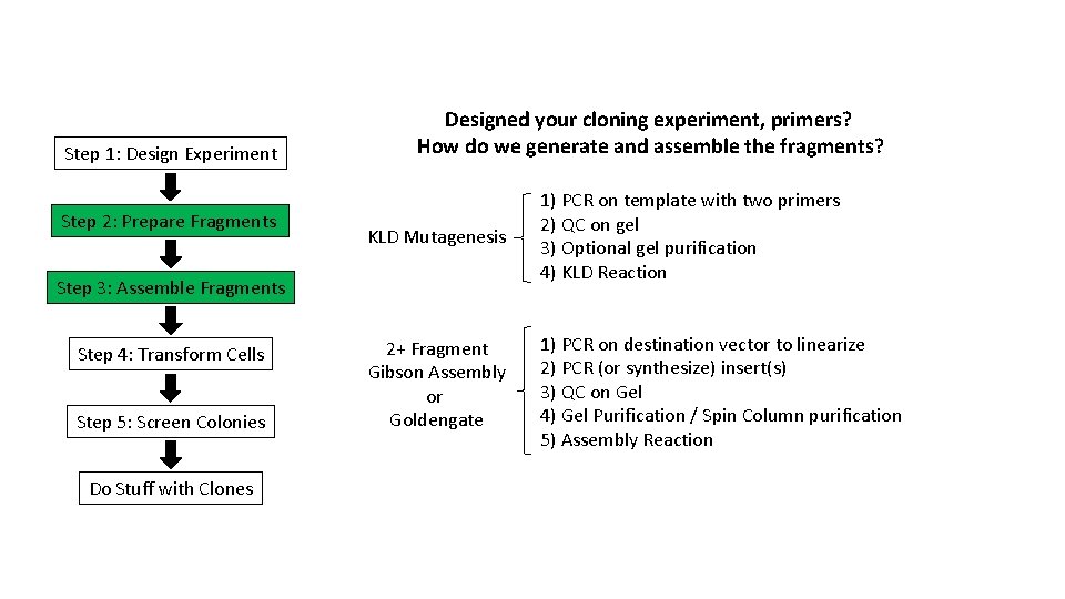 Step 1: Design Experiment Step 2: Prepare Fragments Designed your cloning experiment, primers? How