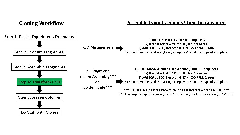 Cloning Workflow Assembled your fragments? Time to transform! Step 1: Design Experiment/Fragments Step 2: