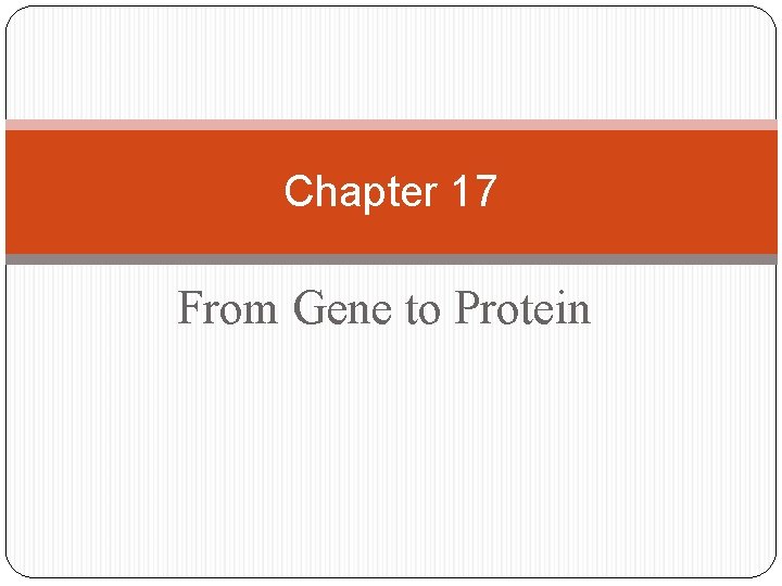 Chapter 17 From Gene to Protein 