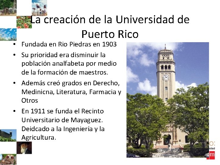 La creación de la Universidad de Puerto Rico • Fundada en Rio Piedras en