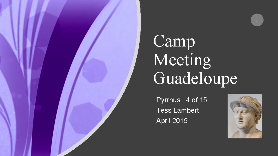 1 Camp Meeting Guadeloupe Pyrrhus 4 of 15 Tess Lambert April 2019 