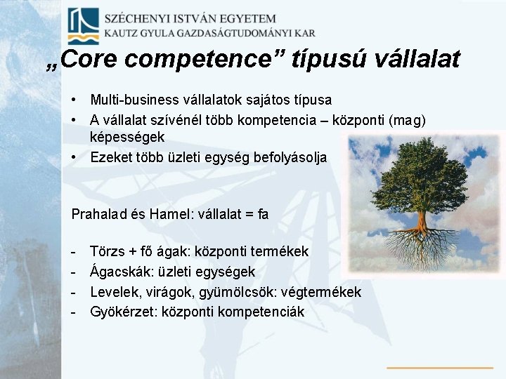 „Core competence” típusú vállalat • Multi-business vállalatok sajátos típusa • A vállalat szívénél több