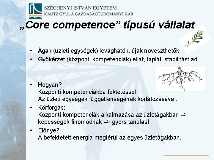 „Core competence” típusú vállalat • Ágak (üzleti egységek) levághatók, újak növeszthetők • Gyökérzet (központi