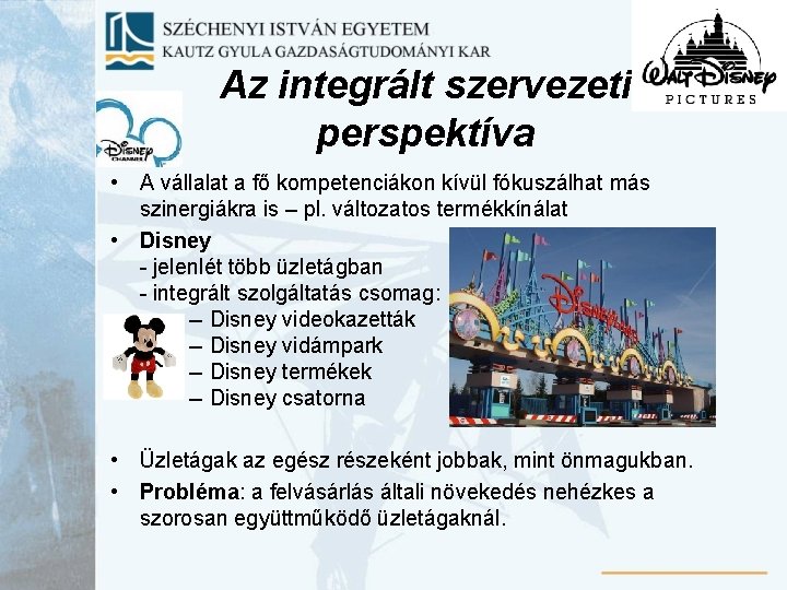 Az integrált szervezeti perspektíva • A vállalat a fő kompetenciákon kívül fókuszálhat más szinergiákra