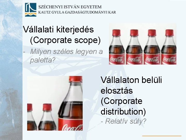 Vállalati kiterjedés (Corporate scope) - Milyen széles legyen a paletta? Vállalaton belüli elosztás (Corporate