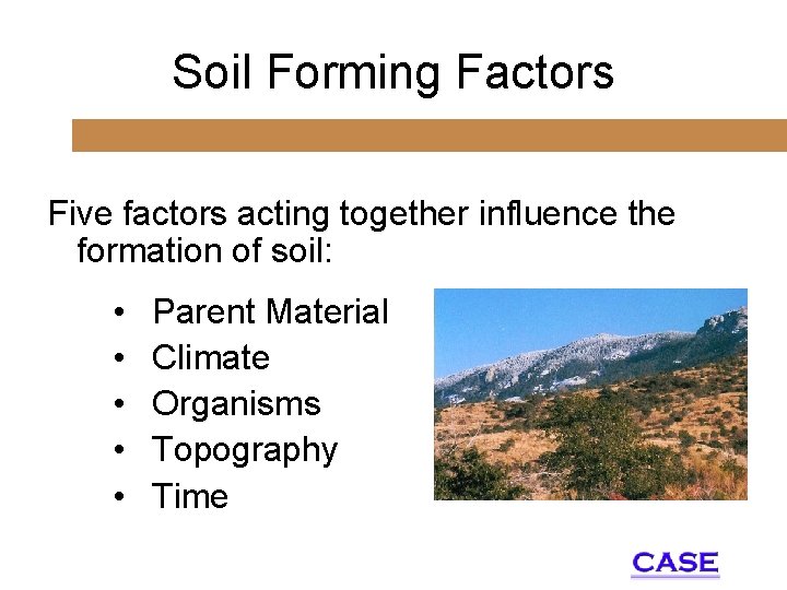 Soil Forming Factors Five factors acting together influence the formation of soil: • •