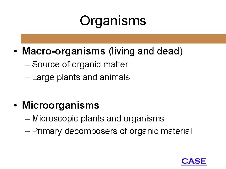 Organisms • Macro-organisms (living and dead) – Source of organic matter – Large plants