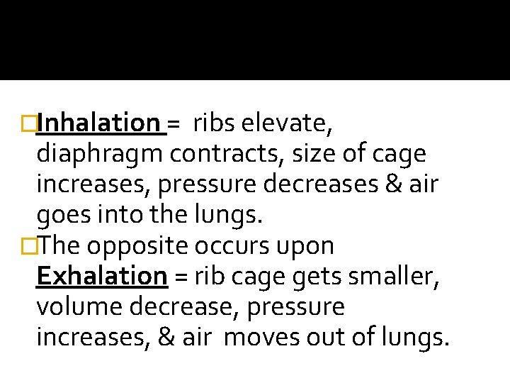 �Inhalation = ribs elevate, diaphragm contracts, size of cage increases, pressure decreases & air